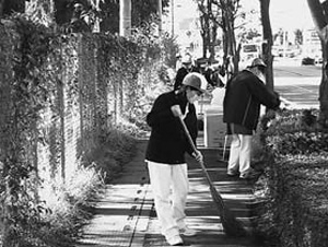 環境・活性化対策専門部会 クリーン作戦の様子